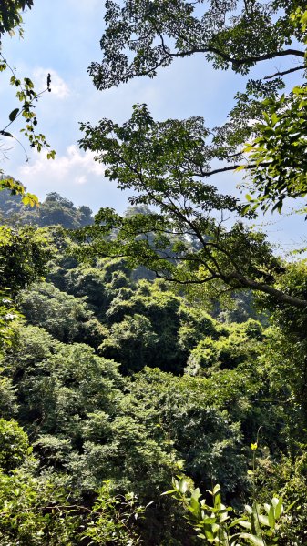 【台灣健行】台中大坑 5-1、5 頭嵙山2879642