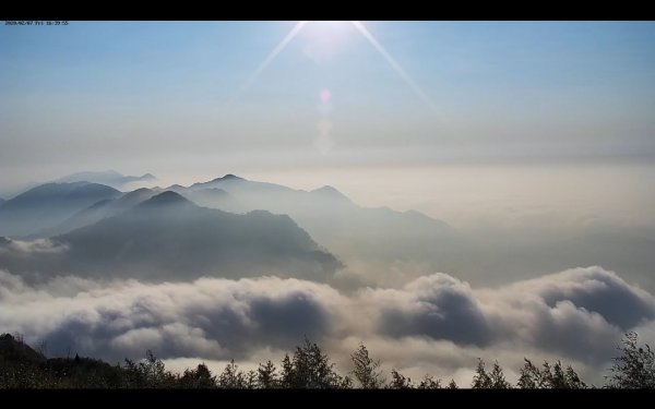 阿里山雲瀑&雲海/富士山直播即時視訊827040