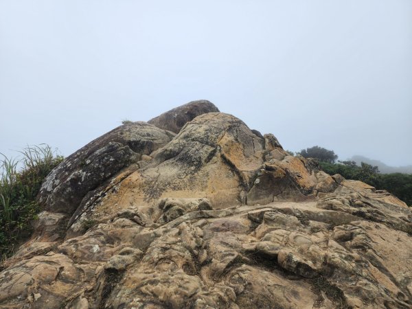 小百岳No.80⛰里龍山2776352