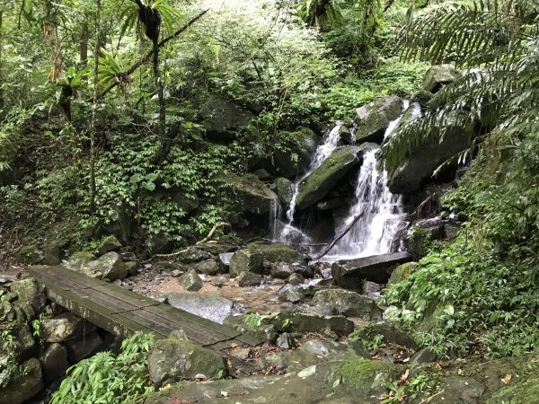 北勢溪古道 灣潭古道縱走+五指山古道重柔181397