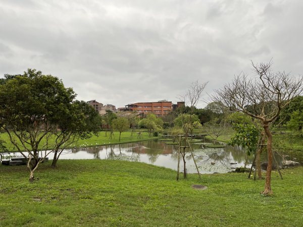 2022_0205_宜蘭中央公園步道2040264