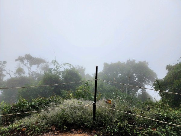 小百岳集起來-獅頭山2182885