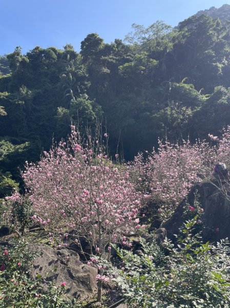 楓樹湖古道3012069