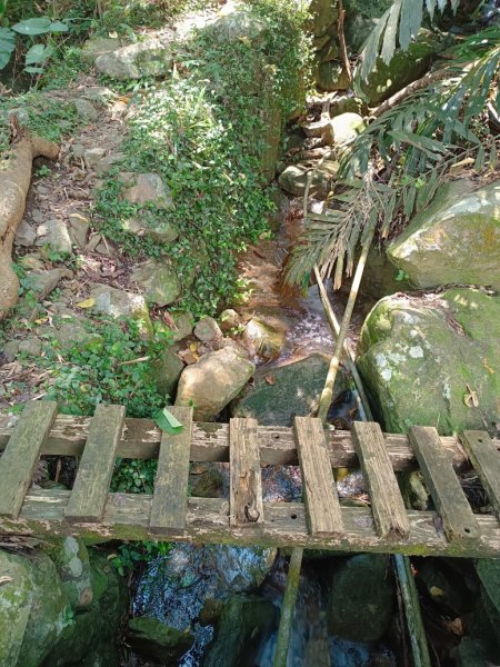 德芙蘭生態步道O形2829428