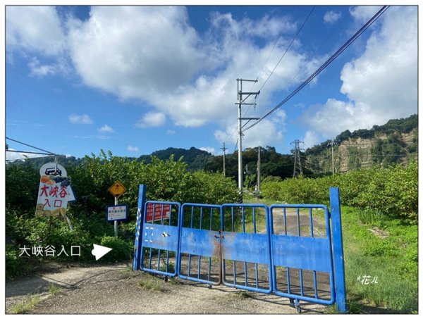 大安溪峽谷 (苗栗、卓蘭)2810022