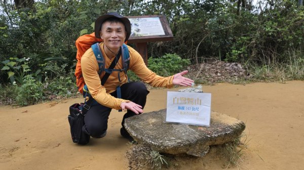 2025樂活夜櫻季搶先看，內湖樂活公園夜櫻季明天熱鬧登場，沿內溝溪3公里近距離欣賞寒櫻、昭和櫻、吉野2695710