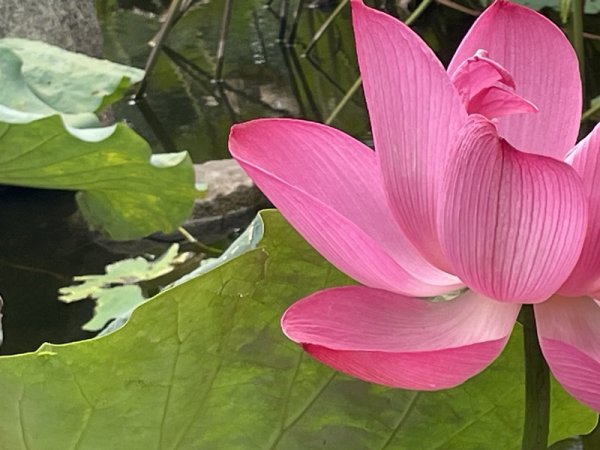 陽明山六瀑連走2877721