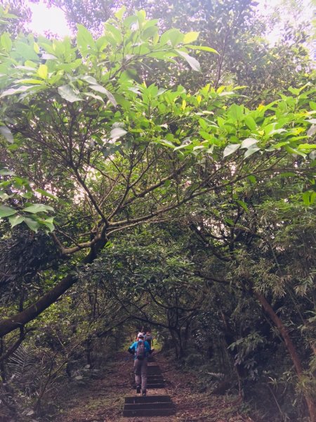 淡蘭北路楊廷理玩泥巴（瑞芳-雙溪）587204