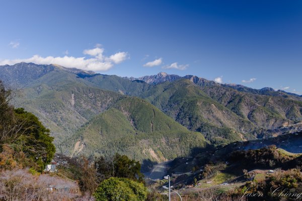 福壽山千櫻園櫻花季初開2717414