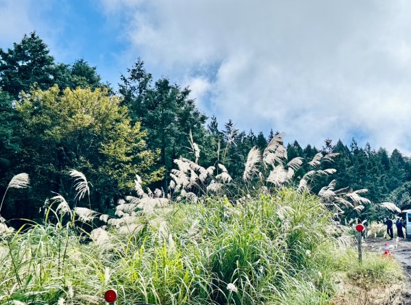 三星山(小百岳#85) 鳩之澤溫泉煮蛋趣2953236