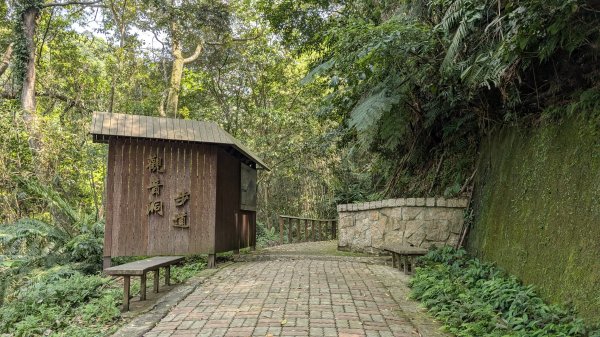 115.04.12金平山西峰-蝙蝠洞之旅3034699