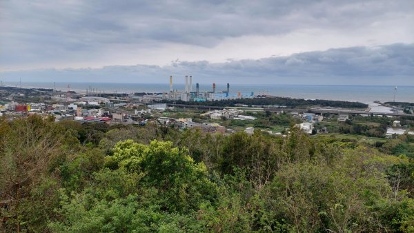 療癒森呼吸，阿里山三日行2764302