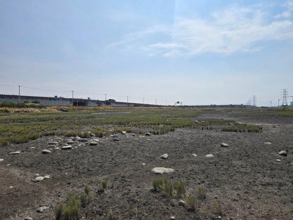 大肚溪濕地生態步道3136051