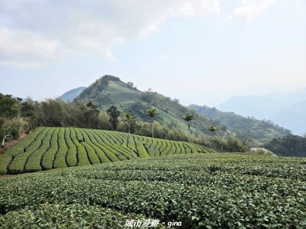【嘉義梅山】雲嘉五連峰縱走3022291