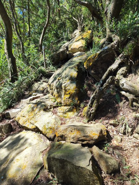 微笑山線：【天上山系】烘爐地土地公段2895747