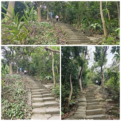 【高雄大社】小百岳大社觀音山步道3013117