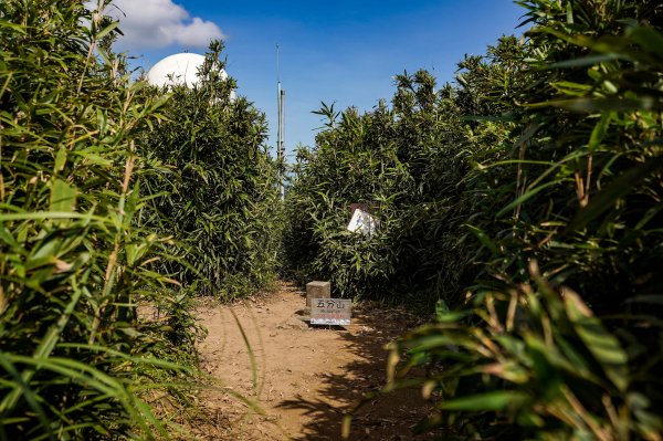 五分山｜小百岳2915460