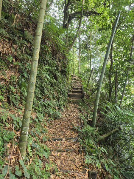 小百岳No.50⛰集集大山3120460