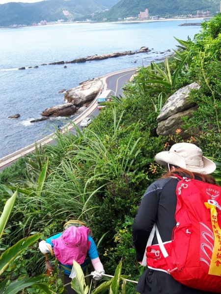 駱駝峰~登山觀海遠足趣626950