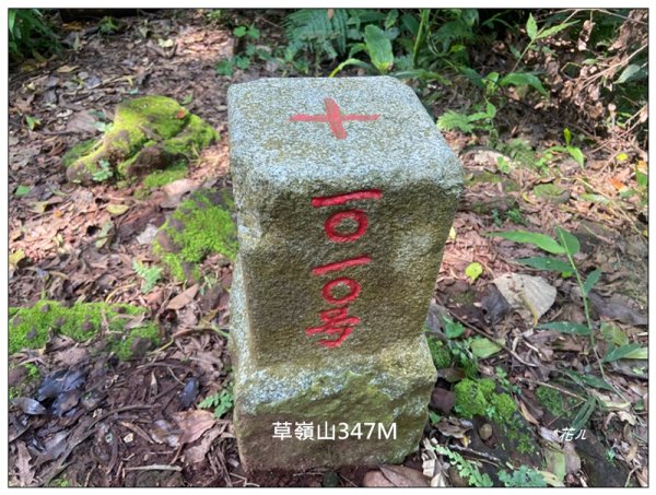 草嶺山、白石山、頭寮山 六連峰 O型路線2798535