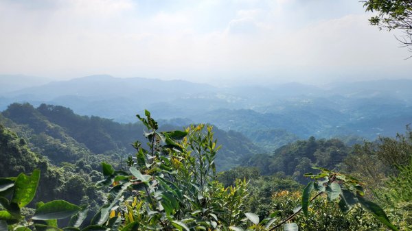 郡大山，郡大山北峰，望鄉山，白冷山，頭嵙山，黑山北峰，大坑4號，大坑3號，挑水古道，快官健行步道2299301