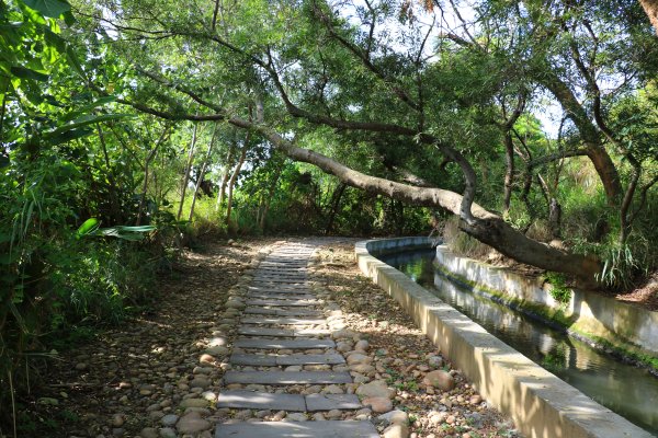 近郊好散步。 知高圳步道封面