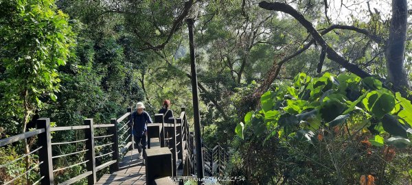 《台中》登山市集｜大坑9及9_1號步道上觀音亭202512202966543
