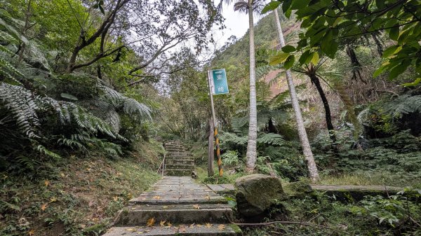 114.12.14黃帝殿西峰-天王峰-黃帝殿東峰之旅2962016