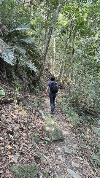 崩潰陡上的水雲三星～鳥嘴山（上島山）2095279