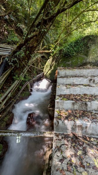 114.04.27草山觀瀑吊橋-紫明溪步道之旅2771757