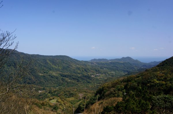 風擎步道(風櫃嘴至擎天崗)2059141