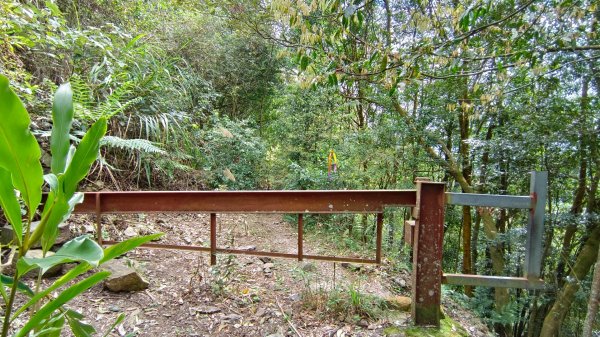 埔里六秀之3關刀山（順走關刀山西峰/西關刀山北峰）1644259