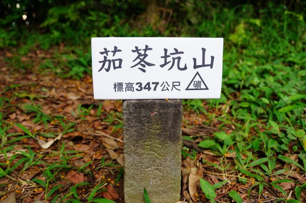 桃園-三峽 十三分山、金面山、金山面山、山麻坑山、茄苳坑山、阿屘尖