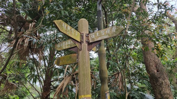 圓通寺烘爐地登山步道大O走3007056