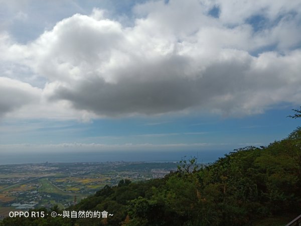 步道巡訪員 l 佐倉步道7月巡訪日誌1017942