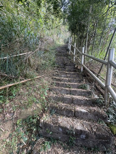 20251122大湖尖山步道(啟登直上第三涼亭)2944525