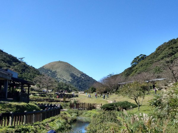 面天山、向天山賞芒行736956