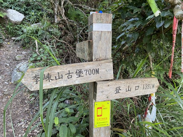 20250713-Ep.10李崠山步道-2025森遊竹縣皮皮獅探險隊2851953