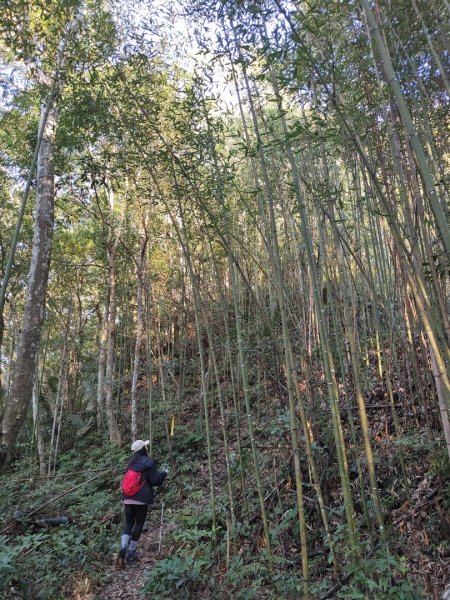 2024.02.01 凌空廊道登煤源山2843939