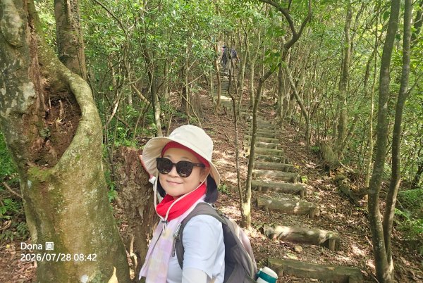 平湖西步道.內平林山.大坑山.平湖東步道O走全紀錄3094125