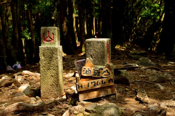 羅山林道登油羅山1869794