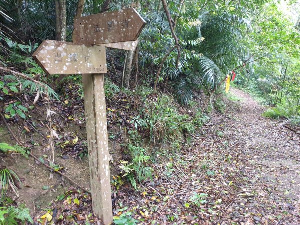 人生之中有點可怕的登山行程......玉女山、金童山及汶水山1552806