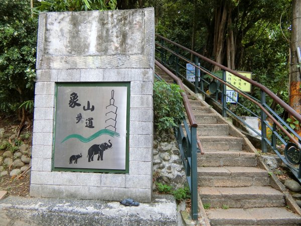 城市裡就能感受山林綠意~象山親山步道778687