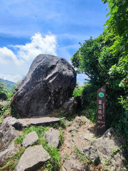 陽明大屯山區亂亂走3078513