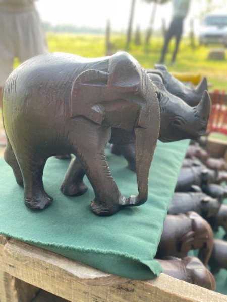 尼泊爾奇旺國家公園4天三夜2788957