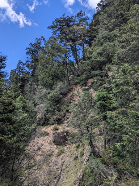 結界縱走三日(結城山、境界山、檜山)2920911