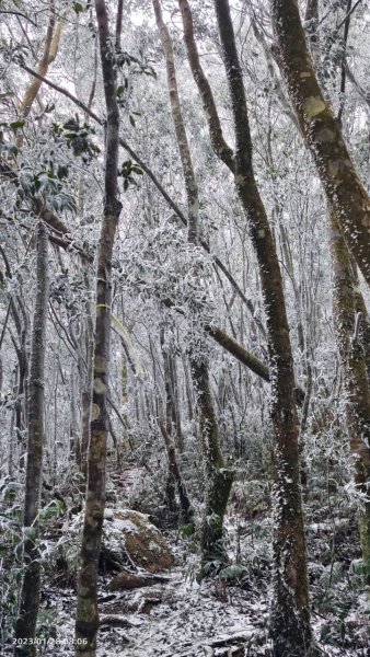雪季北得拉曼2956472