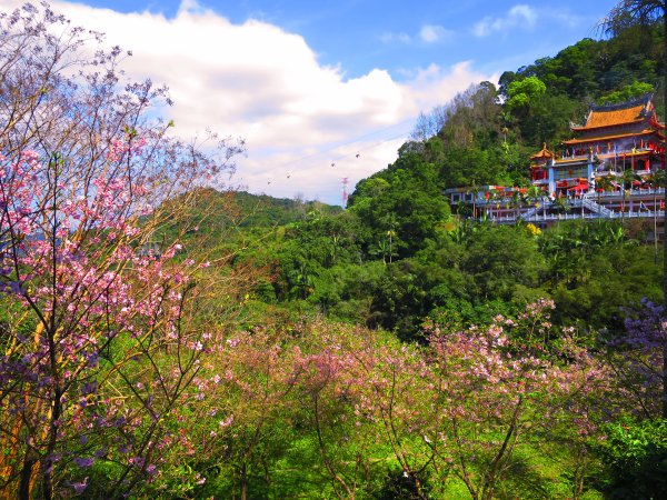 走祈福步道，點一盞心燈，尋找金龍✨2435303