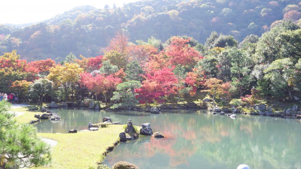 日本京都嵐山651956