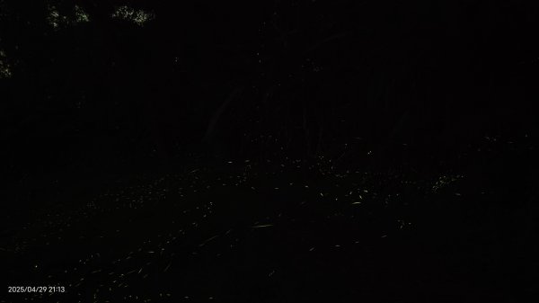 翡翠水庫壩頂 #火燒雲雲海 #日出雲海 #鱷魚島 #藍腹鷴 4/292773440